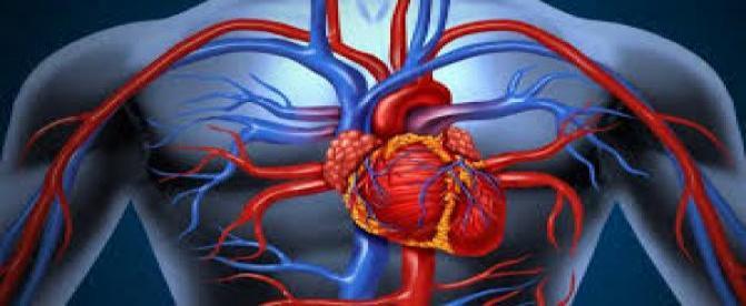 پاسخ گویی به سوالات رایج  در خصوص نارسایی قلبی (1)